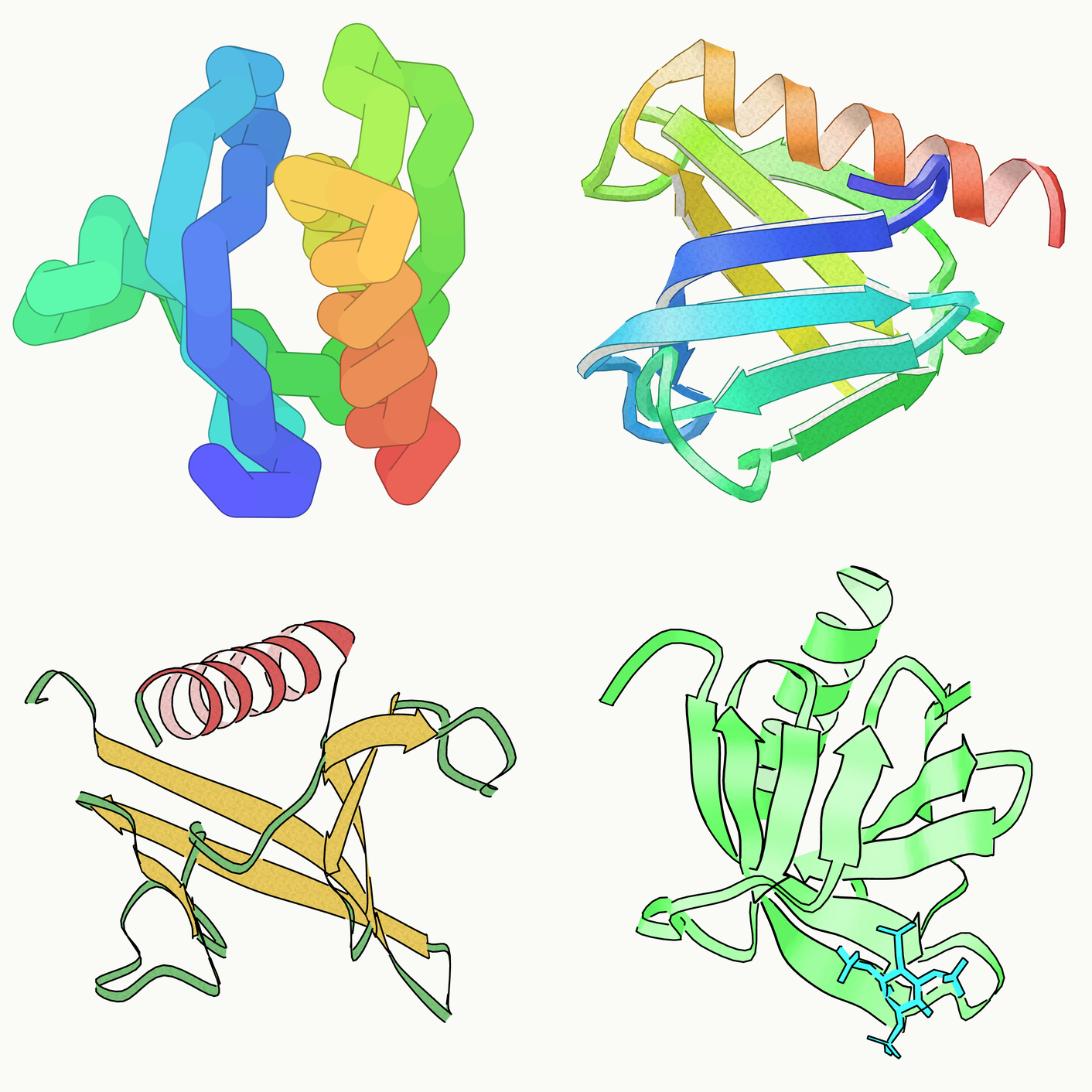 One protein structure drawn four ways by py2Dmol: a tube trace coloured from N to C, a Richardson-style cartoon with paper grain, secondary-structure colours, and a version with the bound ligand as sticks.